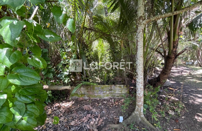 Vente Terrain 19771m&sup2; Les Abymes
