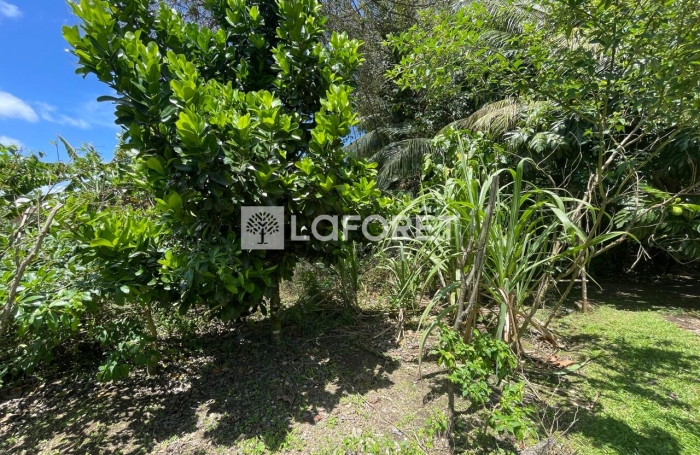 Vente Terrain 19771m&sup2; Les Abymes