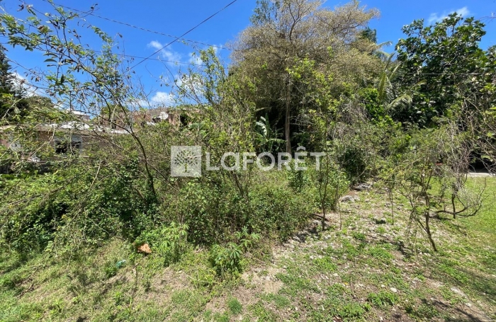 Vente Terrain 19771m&sup2; Les Abymes