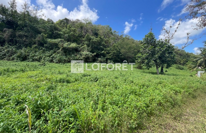Vente Terrain 19771m&sup2; Les Abymes