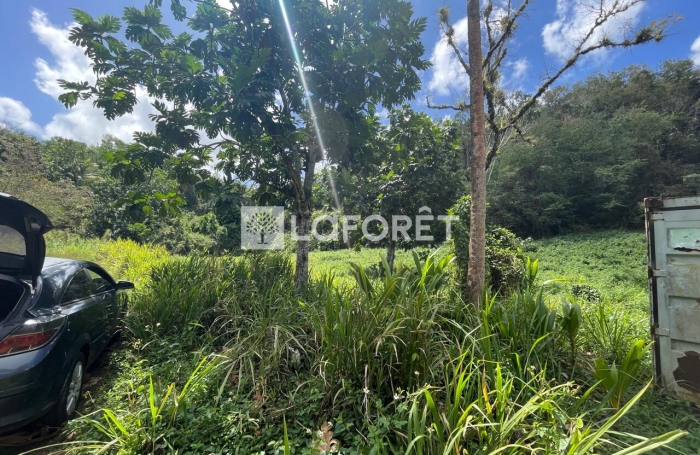 Vente Terrain 19771m&sup2; Les Abymes
