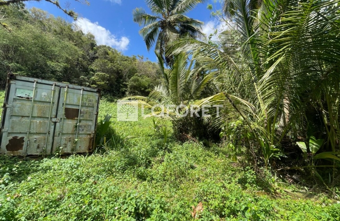 Vente Terrain 19771m&sup2; Les Abymes