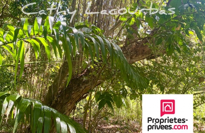 Vente Terrain 4000m&sup2; Pointe-Noire