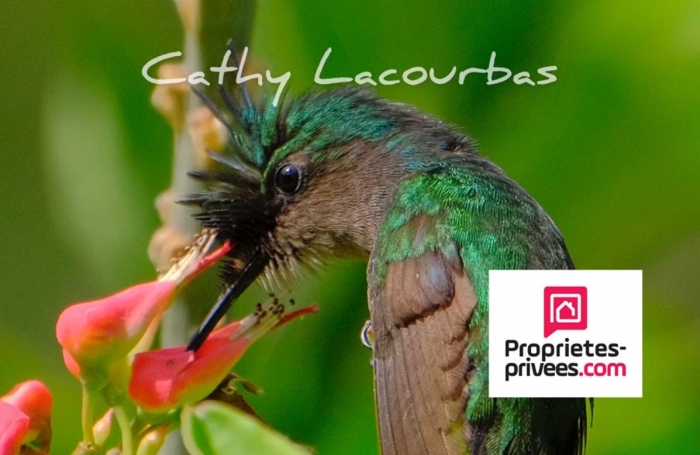 Vente Local commercial 402m&sup2; Deshaies