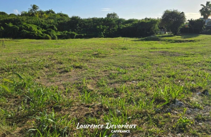 Vente Terrain 97118