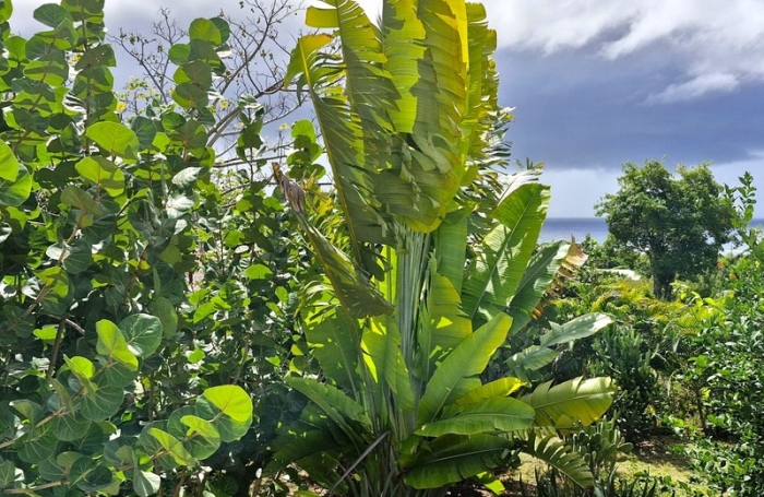 Vente Maison 160m&sup2; 6 pièces Grand Bourg