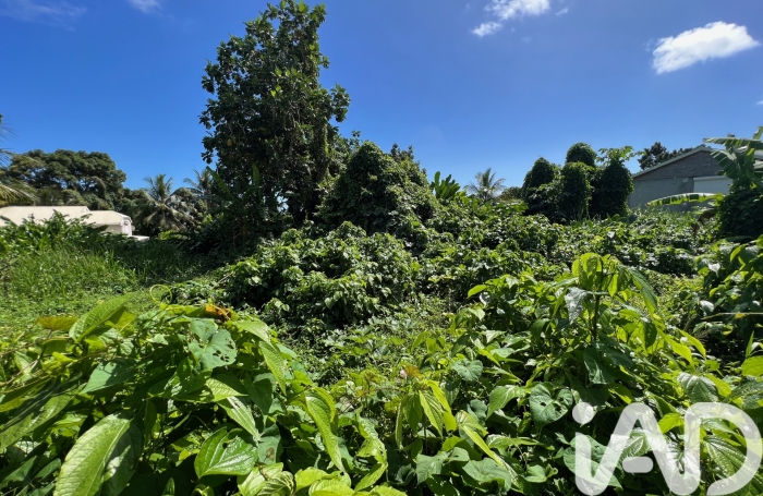 Vente Terrain 1240m&sup2; Capesterre Belle Eau