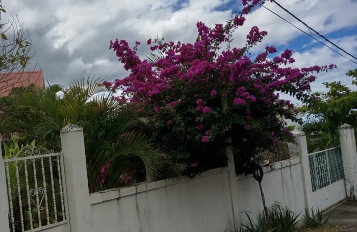 Location Maison 97119