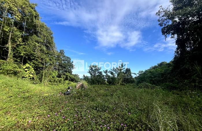 Vente Terrain 1834m&sup2; Les Abymes