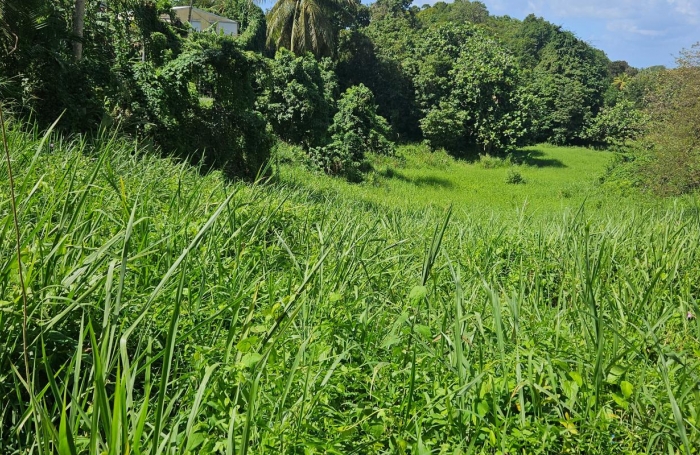 Vente Terrain 97139