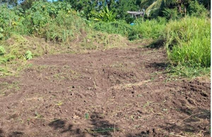 Vente Terrain 876m&sup2; Vieux Habitants