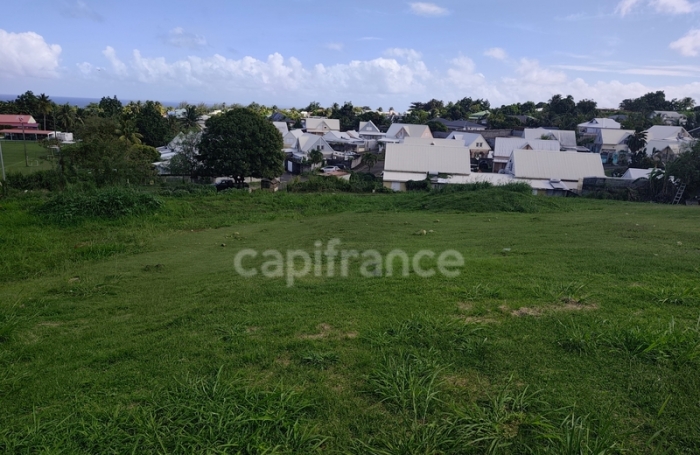 Vente Terrain 500m&sup2; Capesterre Belle Eau