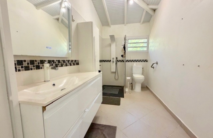 Maison &agrave; vendre Baie-Mahault Guadeloupe 304 m2 usage professionnel ou mixte