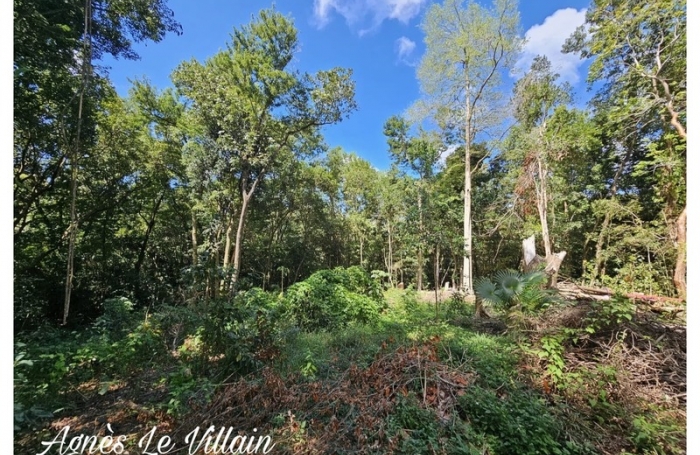 Vente Terrain 3123m&sup2; Bouillante