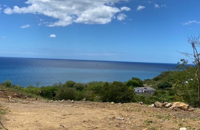 Vente Terrain 1039m&sup2; Vieux Habitants