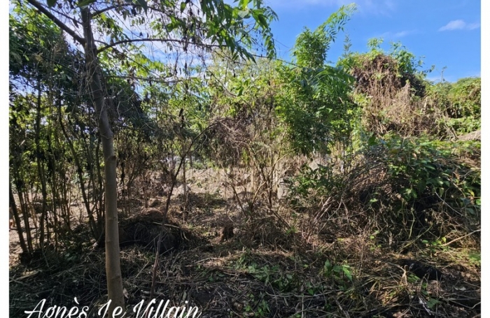 Vente Terrain 1041m&sup2; Pointe-Noire