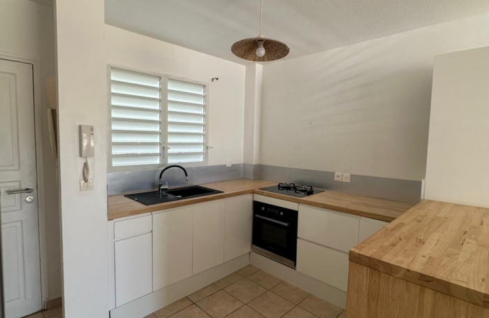 Magnifique T3 meubl&eacute; avec jardin et box privatifs