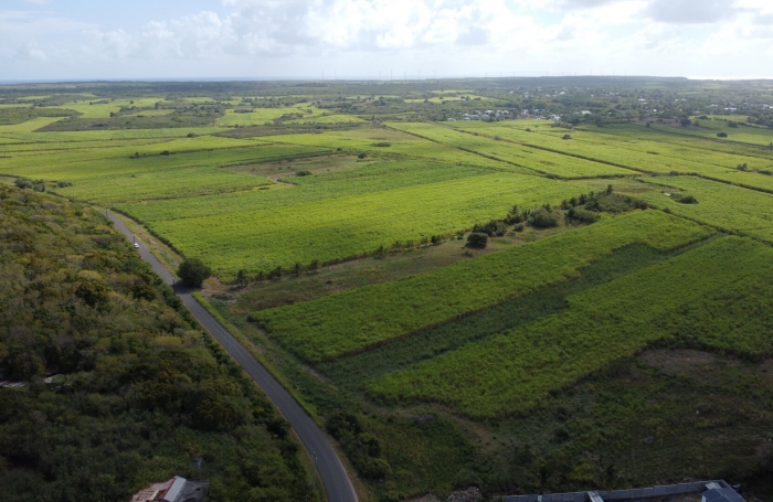 Vente Terrain 1797m&sup2; Anse-Bertrand