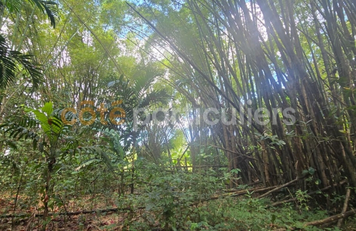 Vente Terrain 3166m&sup2; Lamentin