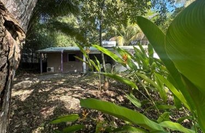 Vente Immeuble 265m&sup2; 14 pièces Sainte Anne