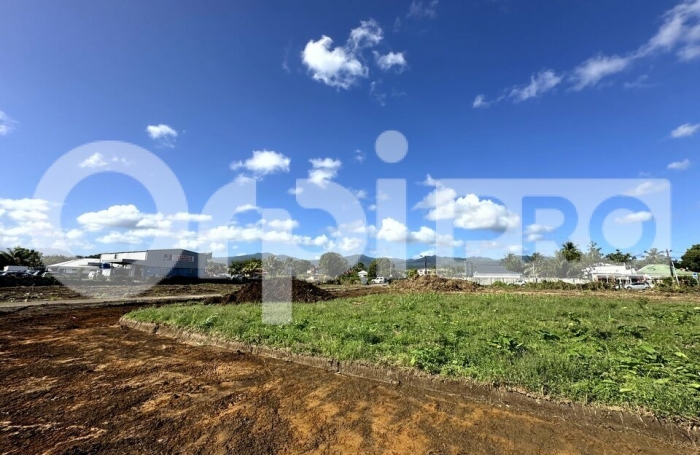 Opportunit&eacute; Commerciale Rare &ndash; 4500 m&sup2; en Fa&ccedil;ade de Route &ndash; Sainte-Rose