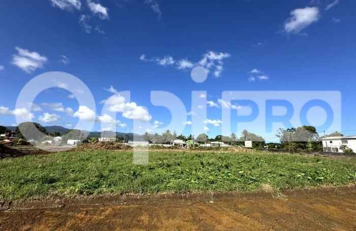 Opportunit&eacute; Commerciale Rare &ndash; 4500 m&sup2; en Fa&ccedil;ade de Route &ndash; Sainte-Rose