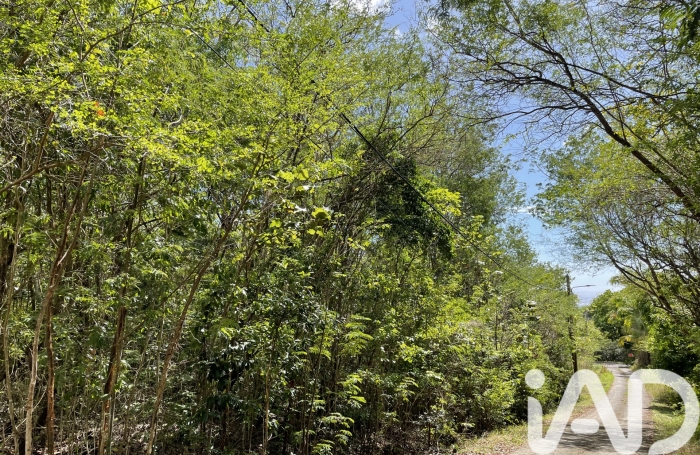 Vente Terrain 10682m&sup2; Deshaies