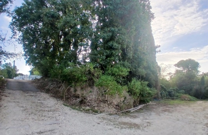 Vente Terrain 532m&sup2; Gosier