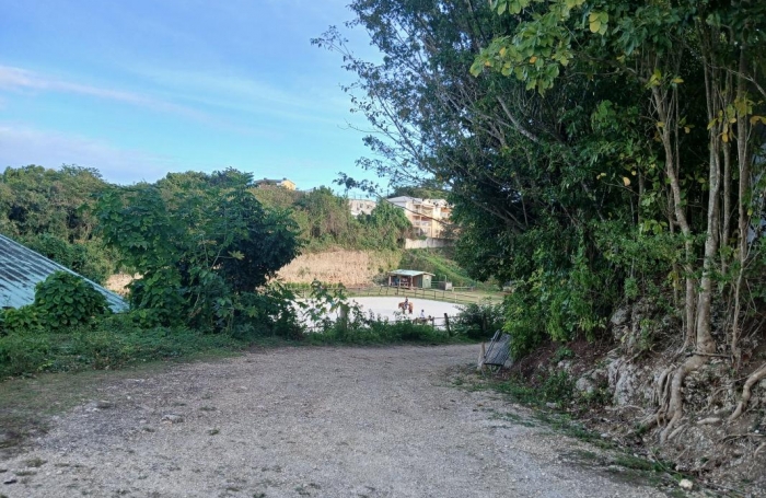 Vente Terrain 532m&sup2; Gosier