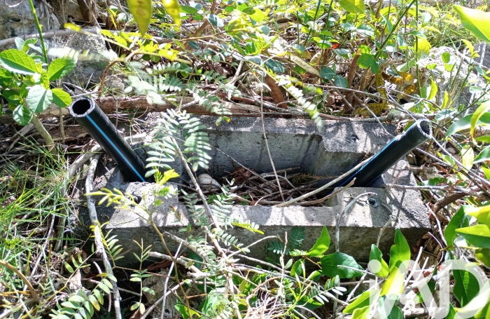 Vente Terrain 903m&sup2; Anse-Bertrand