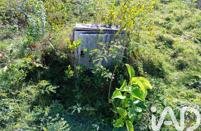 Vente Terrain 903m&sup2; Anse-Bertrand