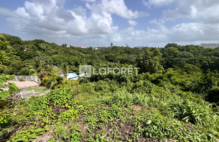Vente Terrain 678m&sup2; Les Abymes