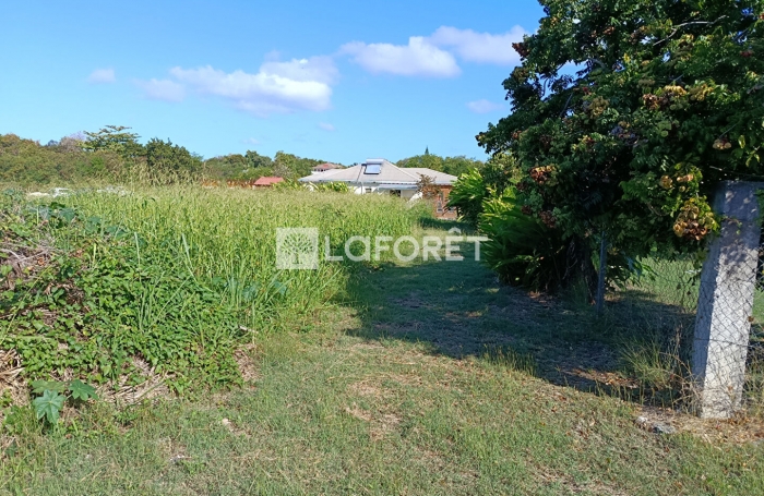 Vente Terrain 447m&sup2; Saint Fran&ccedil;ois