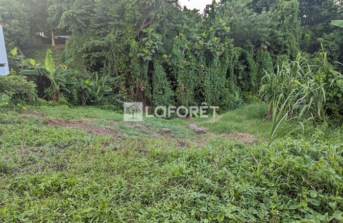 Vente Terrain 562m&sup2; Trois Rivi&egrave;res