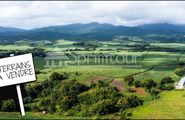 LAMENTIN  TERRAIN 542 M2