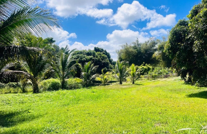 Vente Terrain 700m&sup2; Baie Mahault