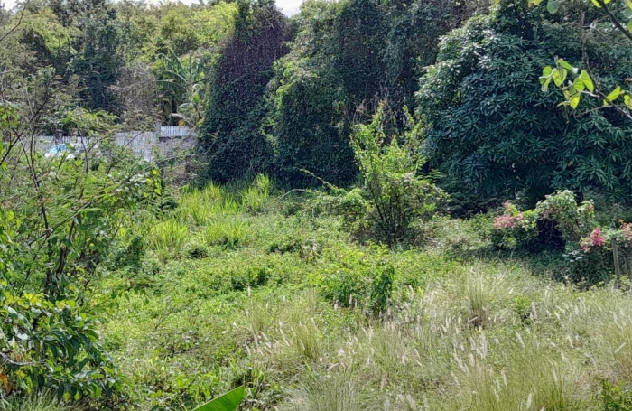 Vente Terrain 97126