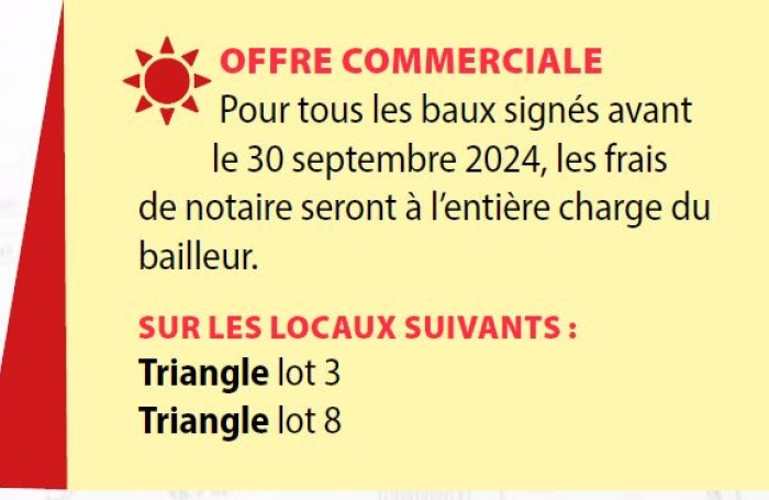 BUREAUX IMMEUBLE LE TRIANGLE -LOT 10 PETIT P&Eacute;ROU