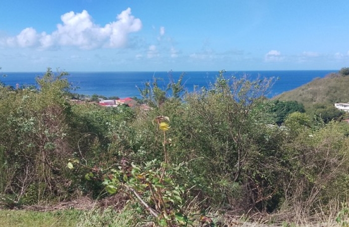 Vente Terrain 97123