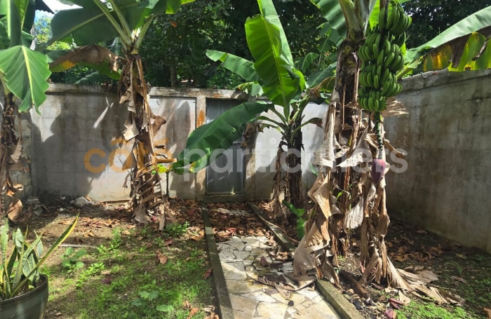 Vente Maison 200m&sup2; Les Abymes
