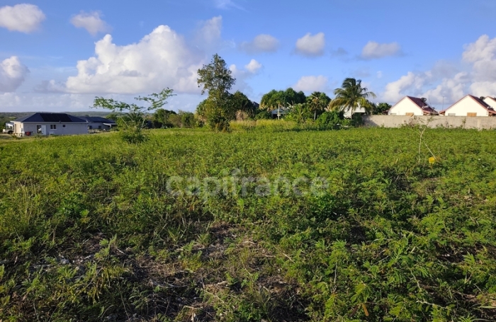 Vente Terrain 97121