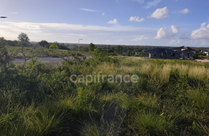 Vente Terrain 500m&sup2; Anse-Bertrand
