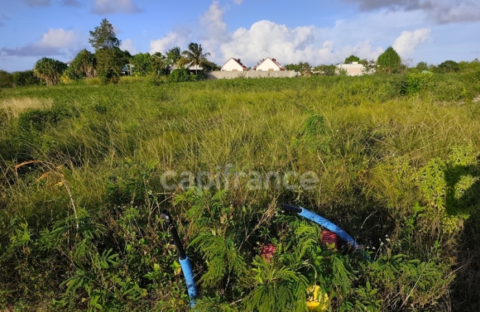 Vente Terrain 500m&sup2; Anse-Bertrand