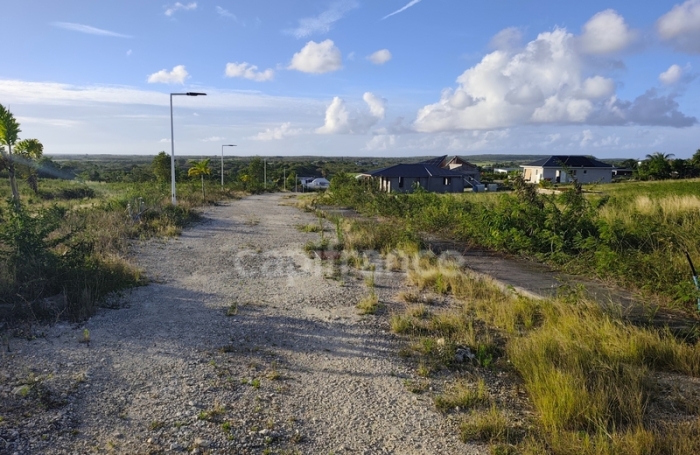 Vente Terrain 500m&sup2; Anse-Bertrand
