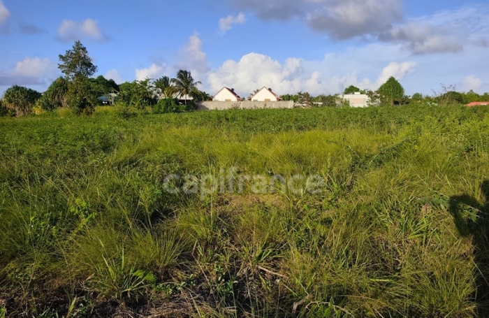 Vente Terrain 500m&sup2; Anse-Bertrand