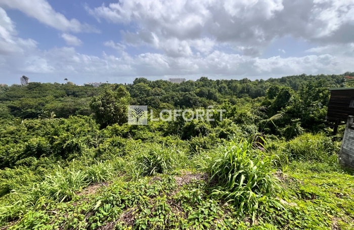 Vente Terrain 678m&sup2; Les Abymes