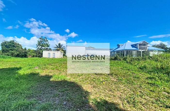 Vente Terrain 800m&sup2; Sainte Rose