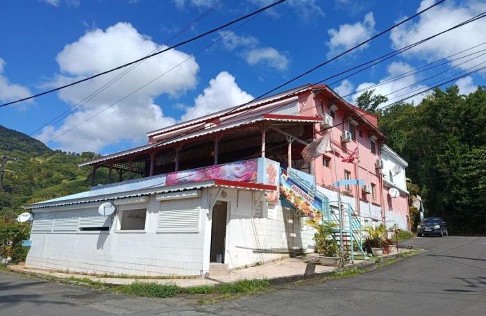 Vente Immeuble 585m&sup2; 16 pièces Capesterre Belle Eau