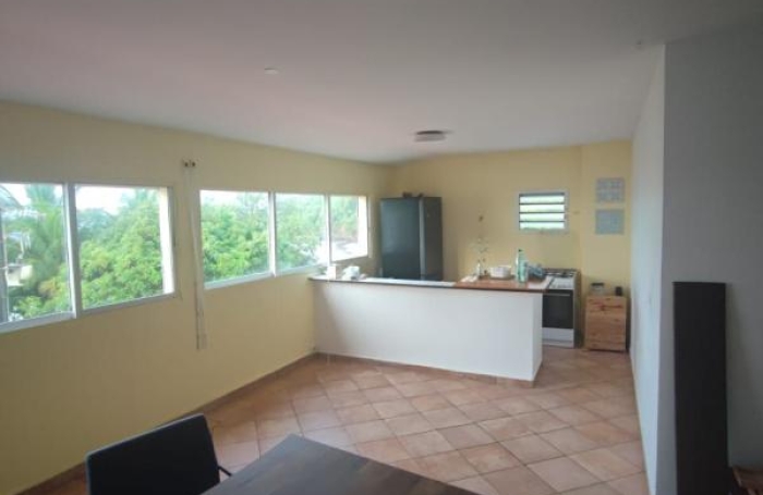 Vente Immeuble 585m&sup2; 16 pièces Capesterre Belle Eau