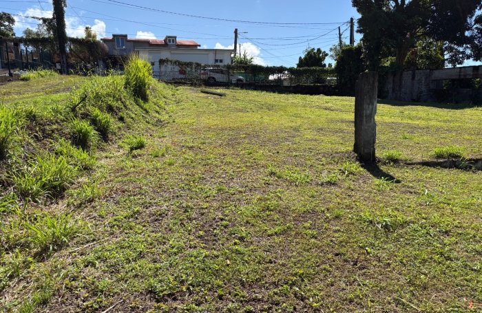 Saint-Claude-Terrain plat constructible- vue d&eacute;gag&eacute;e